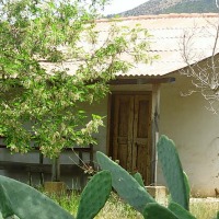 Foto de Colliguay