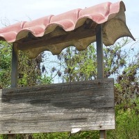 Foto de Colliguay