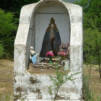 Foto de Colliguay