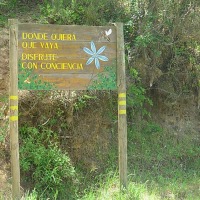 Foto de Colliguay