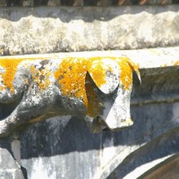 Foto de Alcobaça