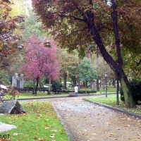 Foto de Oviedo