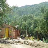 Foto de Colliguay