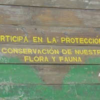 Foto de Colliguay