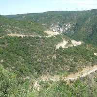 Foto de Colliguay