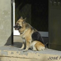 Foto de Jerez de la Frontera