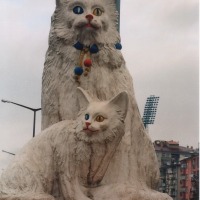 Foto de Van