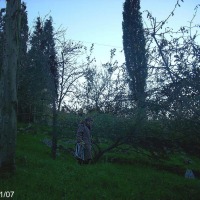 Foto de Figarines - Caces