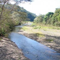 Foto de Esterillo
