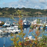 Foto de Puerto Montt