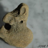 Foto de Jerez de la Frontera