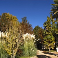 Foto de Alhama de Aragón
