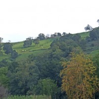 Foto de Anaz