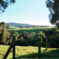Foto de Vereda La Acuarela - Antioquía