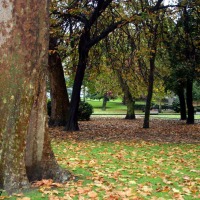 Foto de Oviedo