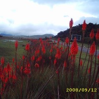 Foto de Cuchumatanes - Huehuetenango