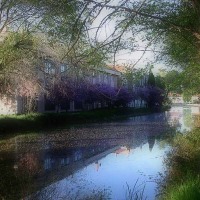Foto de Palencia