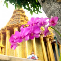 Foto de Bangkok