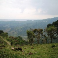 Foto de Tlacuilotepec