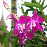 Foto de Bangkok