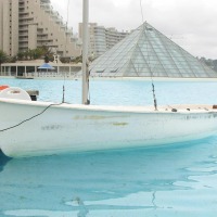 Foto de Algarrobo