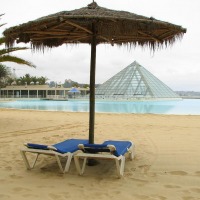 Foto de Algarrobo
