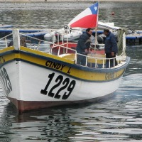 Foto de Algarrobo