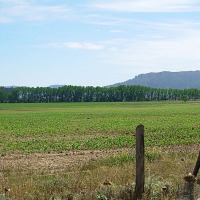 Foto de Casa Blanca