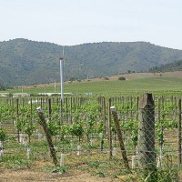 Foto de Casa Blanca