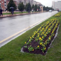 Foto de Oviedo