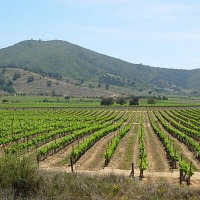 Foto de Casa Blanca