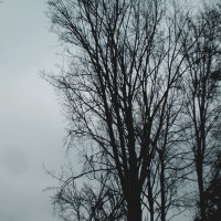 Foto de Cambre