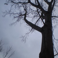 Foto de Cambre