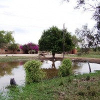 Foto de Pirane (Formosa)