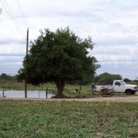 Foto de Pirane (Formosa)