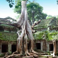 Foto de Siem Reap