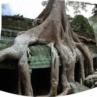 Foto de Siem Reap