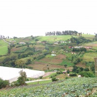 Foto de Palmira de Zarcero