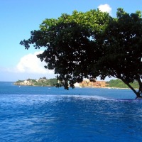 Foto de Los Charamicos, Sosua