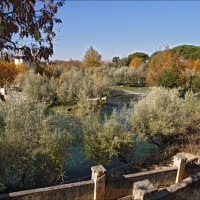 Foto de Alhama de Aragón