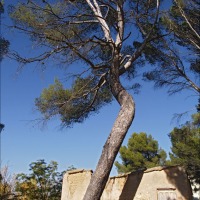 Foto de Alhama de Aragón
