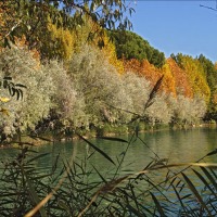 Foto de Alhama de Aragón