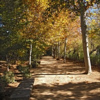 Foto de Alhama de Aragón