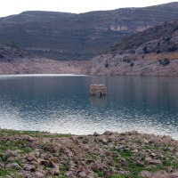 Foto de Tous