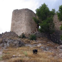 Foto de Jalance
