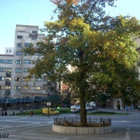 Foto de Oviedo