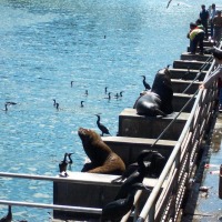 Foto de Valdivia