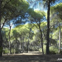Foto de Puerto de Santa María