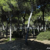 Foto de Puerto de Santa María