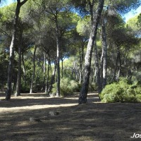 Foto de Puerto de Santa María
